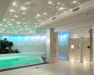 Espace wellness